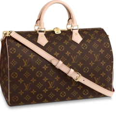 Louis Vuitton Speedy Bandoulière 35