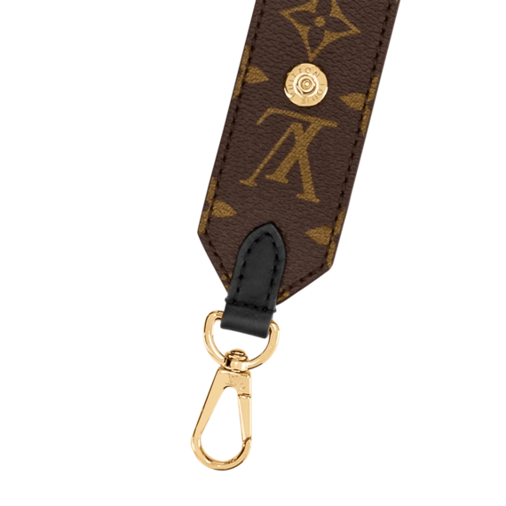 Louis Vuitton Bandoulière